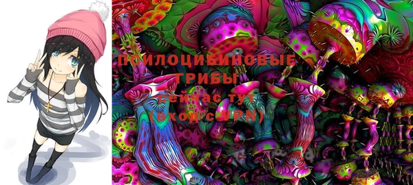тгк Дмитровск