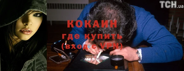 твердый Дмитриев