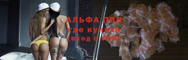 твердый Дмитриев