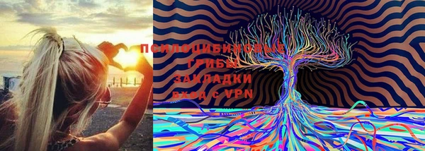 тгк Дмитровск