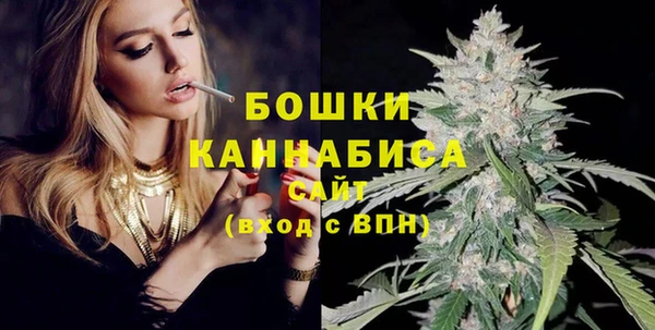 тгк Дмитровск