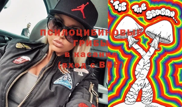 твердый Дмитриев