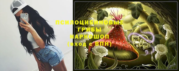 твердый Дмитриев