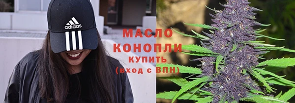 тгк Дмитровск